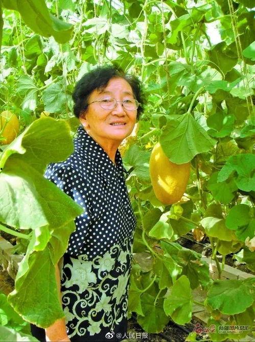 吃瓜群眾吳奶奶,揭秘娛樂圈那些事兒