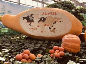 吃瓜群眾第二季全集,揭秘娛樂圈風云再起