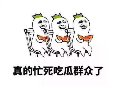 吃瓜群眾我是佩奇,吃瓜群眾眼中的歡樂豬豬傳奇