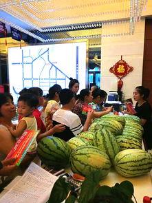 辦公司的吃瓜群眾叫什么,辦公室吃瓜群眾眾生相