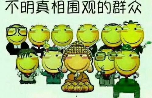 吃瓜群眾養(yǎng)娃記,笑與淚交織的養(yǎng)娃記